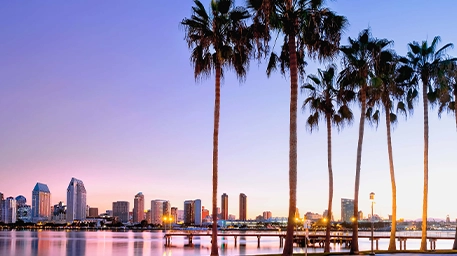 san diego skyline with palm trees