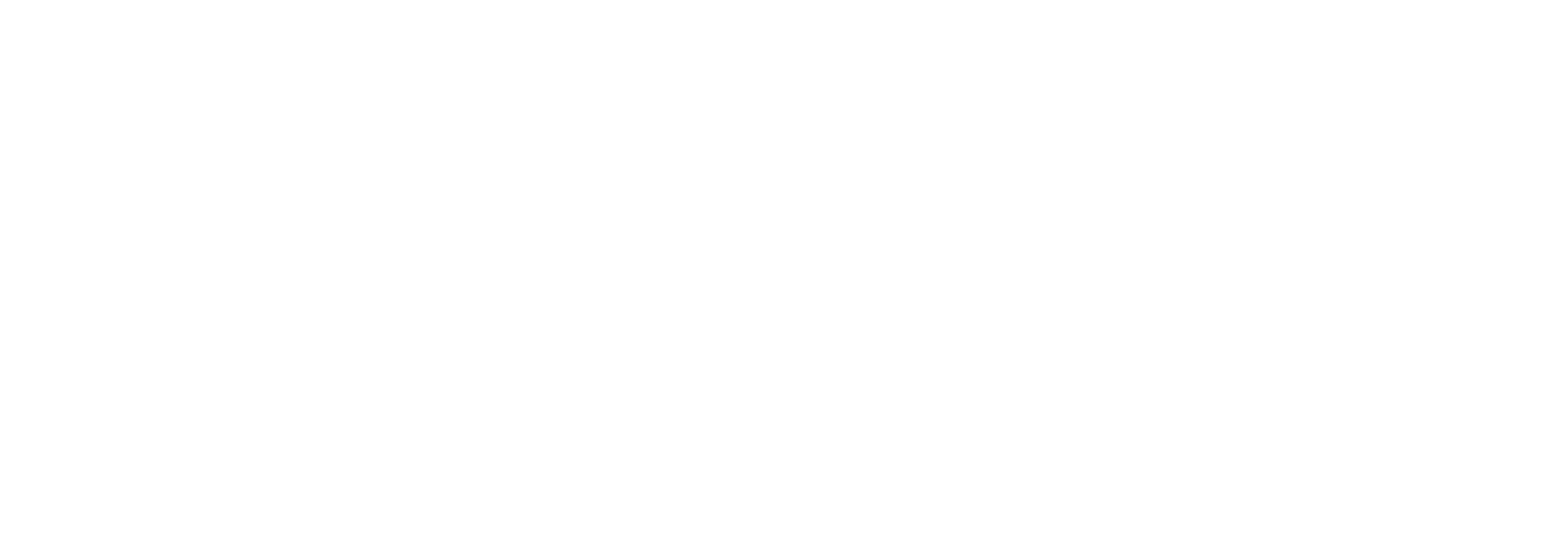 TigerVision